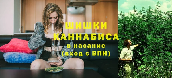 мдпв Бронницы