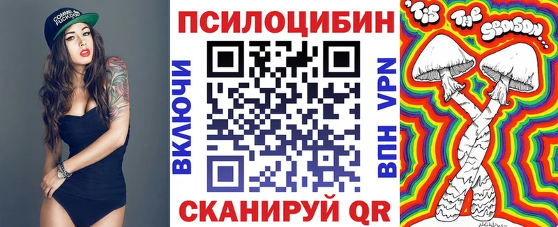 Псилоцибиновые грибы Psilocybe  Балахна 