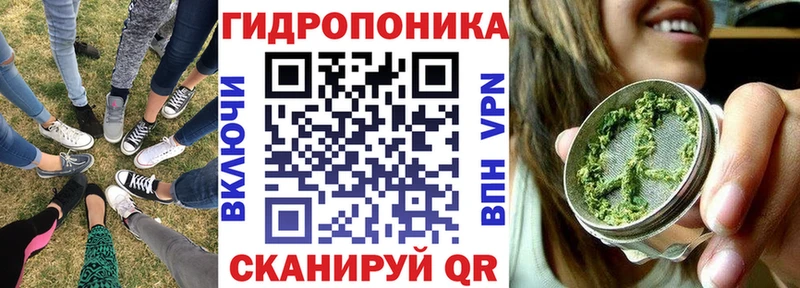 Бошки Шишки план  OMG как войти  Балахна 